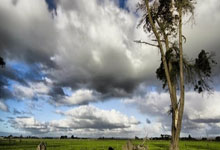 乌拉圭对阵巴拿马，这场足球对决有哪些看点？